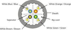 QUCAT6AUTP Drawing white